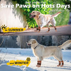 EXPAWLORER Anti Slip Dog Socks to Prevent Licking Paws, Dog Shoes for Hot Pavement, Dog Booties for Small Medium Large Senior Dogs, Traction Control Boots & Paw Protectors for Hardwood Floors Caramel