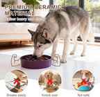Ceramic Slow Feeder Dog Bowls, Ceramic Slow Feeder Maze Dog Food Bowl, Slow Eating Dog Bowl and Slow Feeder Dog Bowl Anti-Choking for Daily Pet Feeding （Purple Bone）