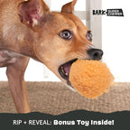 Barkbox Cheeze Brawl Super Chewer Plush Toy with Hard Core Center, Large | with Hard Core Center
