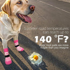 EXPAWLORER 6Pcs Anti Slip Dog Socks to Prevent Licking Paws, Dog Shoes for Hot Pavement Double Sides Dog Boots & Paw Protectors Booties for Hardwood Floors with Grip Small Medium Large Senior Dogs, XL