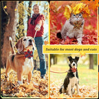 60 Pcs Fall Plaid Dog Collar Flowers Bulk Thanksgiving Pet Flower Collar Bow Ties Holiday Accessories Charms Slide Attachment for Small Medium Large Dog Cat Puppy Bow Grooming Supplies