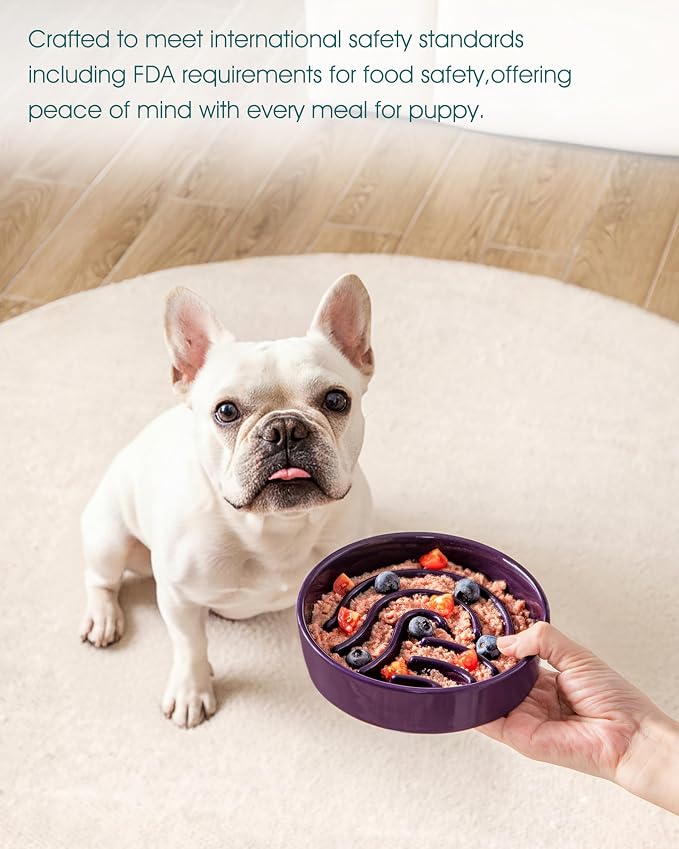 vancasso Slow Feeder Dog Bowl, 0.6 Cup Ceramic Slow Feeding Food Dish for Small Breed, Puzzle Dog Food Bowl for Fast Eater, Dark Purple