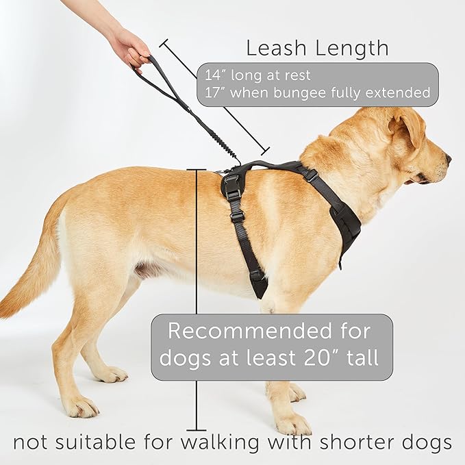 TUG Grab Dog Harness with Built-in Magnetic Traffic Leash (Large/Black) | Padded Magnetic Traffic Handle | Front & Rear Leash Clips | 4-Point Adjustable Fit | Durable Nylon | Aids No-Pull Training