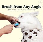 Jasper Dog Toothbrush, 360° Finger Toothbrush for Dogs & Cats, Neon 4-Pack | 12x More Bristles, Teeth Cleaning Kit for Small & Large Pets, Toothpaste Not Included, Fights Bad Breath, Extra Soft Silicone