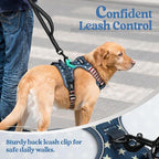 rabbitgoo Dog Harness, No Pull Medium Sized with 2 Leash Clips, Pet Vest | No Choke with Handle, Adjustable Soft Padded, Reflective, Easy Control for Walking, Blue Star, Medium