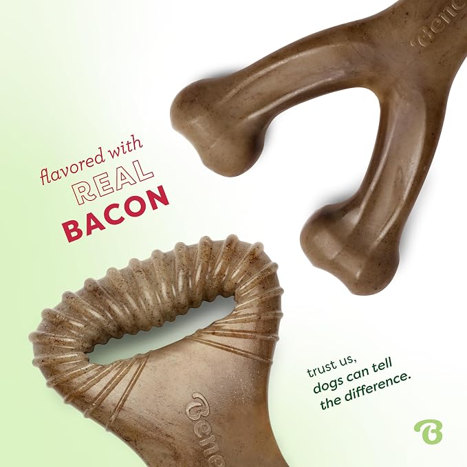 Benebone 2-pack Wishbone/Dental Durable Dog Chew Toys, Real Bacon, Medium