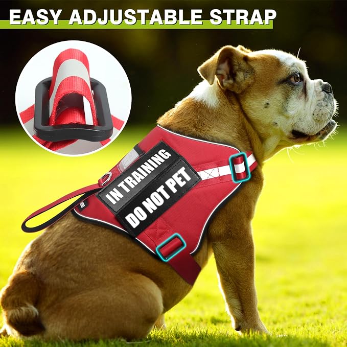 Service Dog Harness and Leash Set, Training Dog Vest with 10 Dog Patches, Emotional Support Therapy Dog Vest Harness for Small Medium Large and Extra Large Dogs(Red, S)
