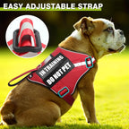 Service Dog Harness and Leash Set, Training Dog Vest with 10 Dog Patches, Emotional Support Therapy Dog Vest Harness for Small Medium Large and Extra Large Dogs(Red, S)