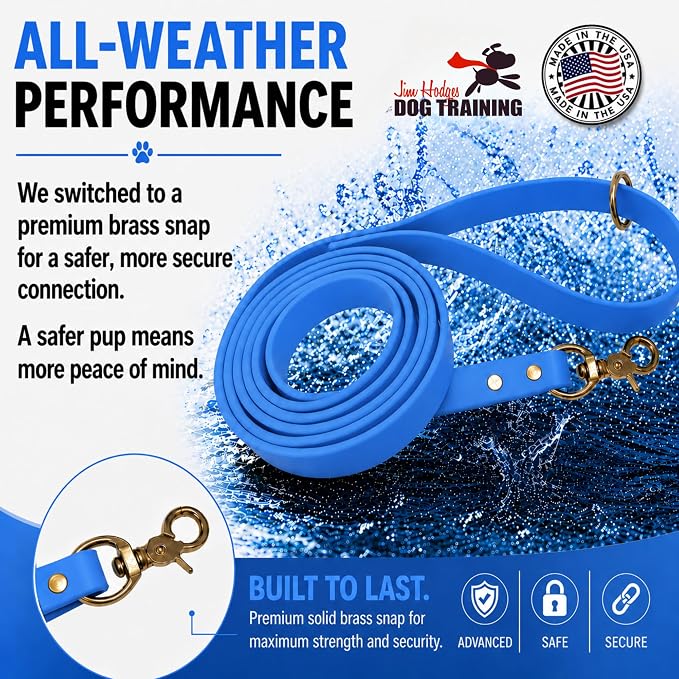Gummy K9 Dog Leash, Biothane, Dog Training Leash, Made in The USA, 6 Feet, Various Sizes & Colors (3/4, Light Blue)