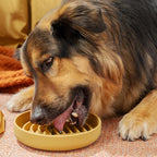 Slow Feeder Dog Bowls - Medium Size Silicone Slow Eating Dog Bowl for Puppies & Dogs with Suction Cup -Dishwasher-Safe, Lick Mat Design, Reduces Gulping,for All Breeds,7.5”x1.5”- Honey