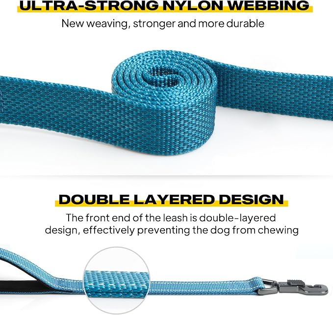 Fida 5 FT Heavy Duty Dog Leash with 2 Comfortable Padded Handles, Traffic Handle & Advanced Easy Snap Hook, Reflective Walking Lead for Large, Medium & Small Breed Dogs, Blue