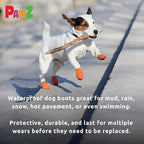 PawZ Rubber Dog Boots for Paws up to 2", 24 Total (2 Packs of 12) - All-Weather Booties for Hot Pavement, Snow, Mud, and Rain - Waterproof, Anti Slip Dog Socks - X-Small, Black