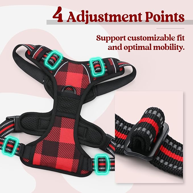 rabbitgoo Dog Harness, No Pull for Small Dogs with 2 Leash Clips, Pet Vest | No Choke with Handle, Adjustable Soft Padded, Reflective, Easy Control for Walking, Red Plaid, Small