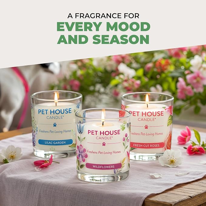 Pet House Cucumber Candles, Long Lasting Scented Candles for Pet Odors, 60 Hour Burn Time - Cucumber Mint, 9 oz