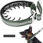 Mayerzon Martingale No Pull Dog Collar with Alloy Buckle, Green, M, 3mm | For Medium Large Dogs that Pull, Patented Dog Walking Training Collar, Thick Foam Padding, Reflective, Adjustable, 1.5'' Wide