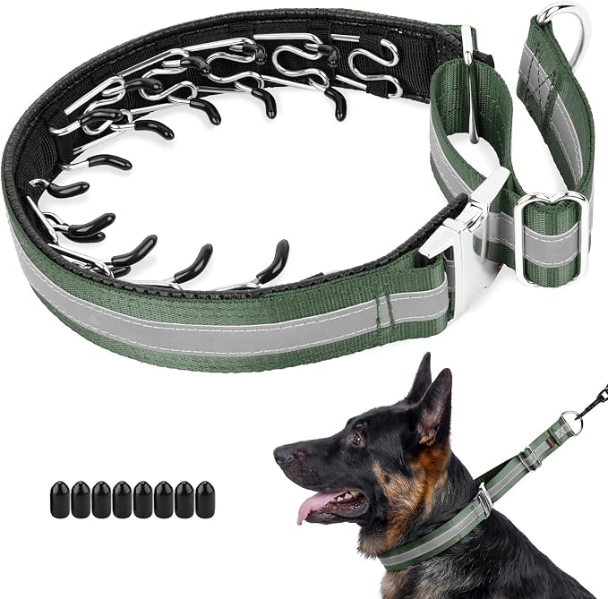 Mayerzon Martingale No Pull Dog Collar with Alloy Buckle, Green, M, 3mm | For Medium Large Dogs that Pull, Patented Dog Walking Training Collar, Thick Foam Padding, Reflective, Adjustable, 1.5'' Wide