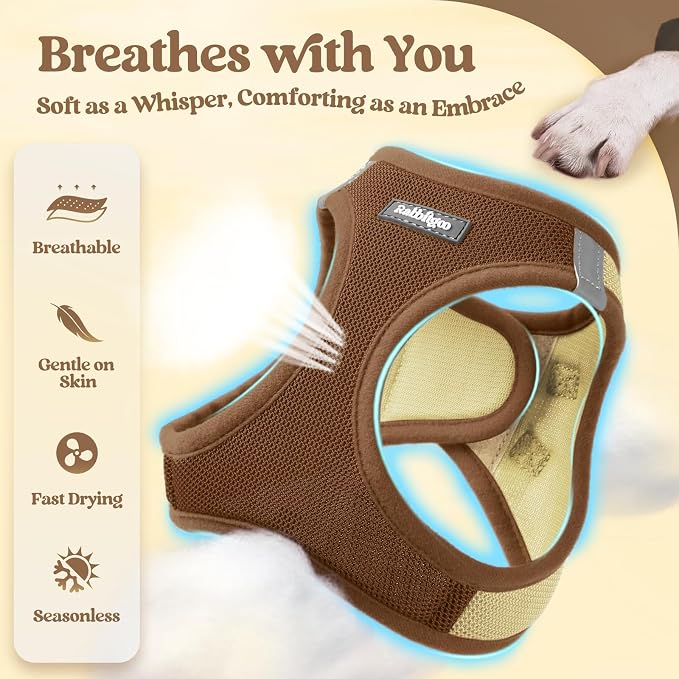 rabbitgoo Dog Harness Medium Sized and Leash Set, Step-in Puppy Pet Vest | Light, Soft, Breathable Air Mesh, Easy on and Remove with Hook & Loop, Secure Reflective for Walking, Brown & Beige L