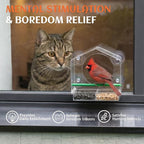 Cat Window Bird Feeder for Indoor Cats, Bird Watching TV for Cats | Clear Acrylic Outdoor Bird Feeding Station with Strong Suction Cups for Enrichment, Mental Stimulation & Boredom Relief