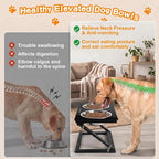 Elevated Dog Bowl, Adjustable Height and Tilt Angle Dog Bowl Stand | Precisely Adjust Height And Tilt Angle, Easy To Clean, Equipped With 2 Stainless Steel Food Bowls, Sturdy And Durable.
