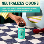 Aunt Fannie's Carpet Refresher Deodorizer, Lavender, 16 oz, Pack of 6 | Neutralizes Dog and Cat Odors, Freshens High-Traffic Areas, Safe for Rugs Carpets & Upholstery, Natural Ingredients