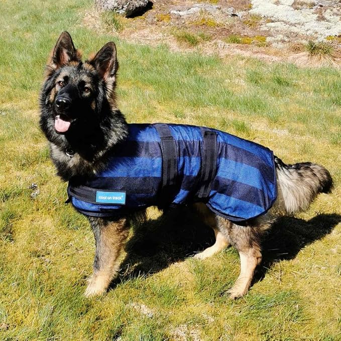 Back on Track Cool on Track Cooling Dog Coat (M1, 50cm / 17-19.5")