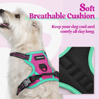 rabbitgoo Dog Harness, No Pull for Small Dogs with 2 Leash Clips, Pet Vest | No Choke with Handle, Adjustable Soft Padded, Reflective, Easy Control for Walking, Hot Pink & Turquoise, X-Small