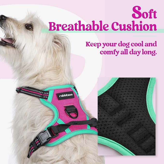 rabbitgoo Dog Harness, No Pull for Small Dogs with 2 Leash Clips, Pet Vest | No Choke with Handle, Adjustable Soft Padded, Reflective, Easy Control for Walking, Hot Pink & Turquoise, X-Small