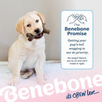 Benebone Puppy Maplestick Dog Chew Toy, Made in USA, Real Maple Wood Flavor, Small, Brown