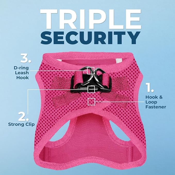 Best Pet Supplies Voyager Step-in Air All Weather Mesh Harness and Reflective Dog 5ft Leash Combo with Neoprene Handle, for Small, Medium and Large Breed Puppies - Fuchsia, XXX-Small