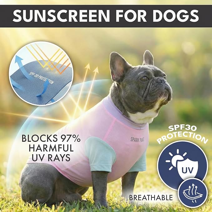 Spark Paws Sunblock Dog T-Shirt, SPF30 Protection, Lightweight Breathable Quick Dry for Dogs with Sensitive Skin - Gelato & Yuzu (Set of 2) - Size M