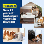 PetSafe Drinkwell Platinum Cat Fountain, Includes 12 Carbon Filters | 168 Oz Capacity, Falling Stream Encourages Drinking, Adjustable Flow, Top-Shelf Dishwasher Safe, 12 Filters Included