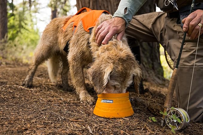 Ruffwear, Bivy Collapsible Dog Bowl, 60 fl oz, Salamander Orange, Medium | Waterproof Welded Single-Wall Fabric, Ultralight Portable Fold-Flat, Non-Slip Bottom, Accessory Loop, Reflective Trim, 1.8 L