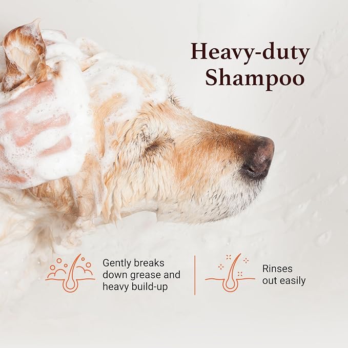 iGroom Squeaky Clean Dog Shampoo, Luxury Pet Beauty Care, Intense Cleaning Power, Chamomile Extracts Sooth Skin, Made in USA (16 OZ)