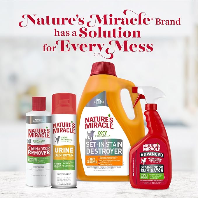 Nature's Miracle Advanced Stain and Odor Eliminator Gallon