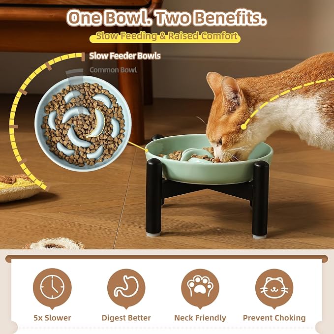 Elevated Ceramic Slow Feeder Cat Bowl, 6.3'' Wide Whisker Friendly | Slow Eating 5x, Anti Vomit Shallow Slow Eating Cat Dish, 3.9" H Raised Cat Puzzle Feeder for Dry and Wet Food, 6.3" X 1.2"