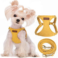 Puppytie XXS Puppy Harness and Leash Set, Yellow, XXS (2.2–6 lbs) | Puppy Harness for Small Dogs, Teacup and Yorkie Harness, Soft Lightweight and Adjustable, Small Puppy Harness for Daily Walks