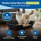 KittyGohere Senior Cat Litter Box Large with Scoop, 2 Pack Black | Open Top Low Entrance Kitty Litter Box With Long-handle Jumbo Scoop, Lightweight Low Entry Litters Box, Durable, Made in USA