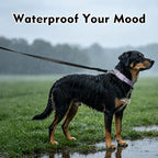 Wisedog Waterproof Dog Leash, Rose Violet, 5 ft × 1/2 in | Adjustable, 2 Metal Swivel Hooks, Easy to Clean, For Small, Medium, Large breed Dogs
