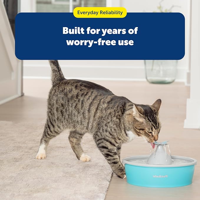 PetSafe Butterfly Cat Water Fountain, Pump & Filters, 50 oz Capacity | Butterfly Topper Creates 4 Water Streams, Replaceable Carbon and Foam Filter Keep Water Fresh and Clean