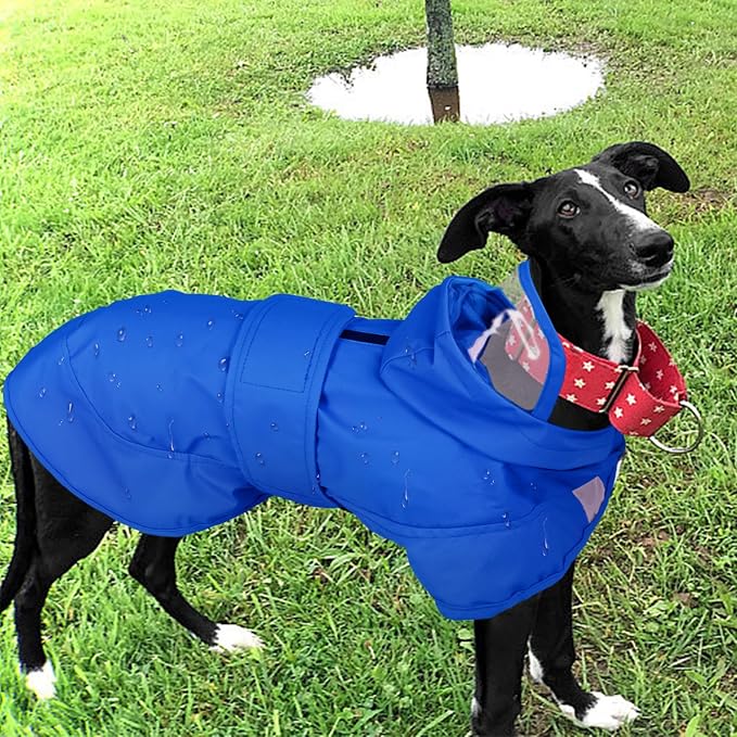 Kuoser Dog Raincoat, Waterproof Dog Rain Jacket with Clear Hooded Double Layer, Lightweight Reflective Dogs Rain Coat with Adjustable Belly Strap, Rain Coats for Medium Dogs Outdoor Wear, Blue M