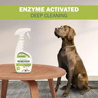 Pet Stain and Odor Remover - Enzyme Cleaner, Pet Urine Odor Eliminator Spray - Floor & Carpet Cleaner Spray, Pet Deodorizers For Home, Fabric Spray W/Fresh, Clean Scent, 32oz Spray