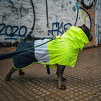 Spark Paws Dog Raincoat, Waterproof Windproof Rain Jacket, for Small Medium Large Extra Large Dogs, Reflective Breathable Full-Body Coverage Dry Suit - Neon White Navy Blue, 2XL