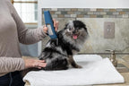 Andis 561125 Dr. Pol Easy Clip Cordless II Clipper Kit, Titanium, Blue | Adjustable 0.8mm/1.6mm/2.4mm blade, lightweight cord/cordless dog grooming kit, 11-piece