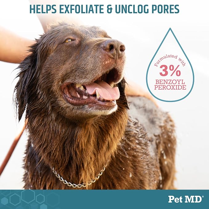 Pet MD Benzoyl Peroxide Shampoo for Dogs, Cats, and Horses - 12oz | Helps Relieve Itchy, Oily & Flaky Skin - Deep Cleansing & Deodorizing Formula - Passion Fruit Scent