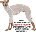 D Doggy Star Italian Greyhound Clothes Sheer Mesh Onesie Summer Jumpsuit Breathable Full Body Protection for Outdoor Walks Small Whippet Fit (L,Sheer Mesh White)