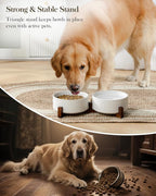 MALACASA Dog Bowl Set, Ceramic Bowls with Walnut Wood Stand, 6 Cups | Rhombic and polka dot design, non-slip base, for dogs, about 26% heavier than similar ceramic bowls