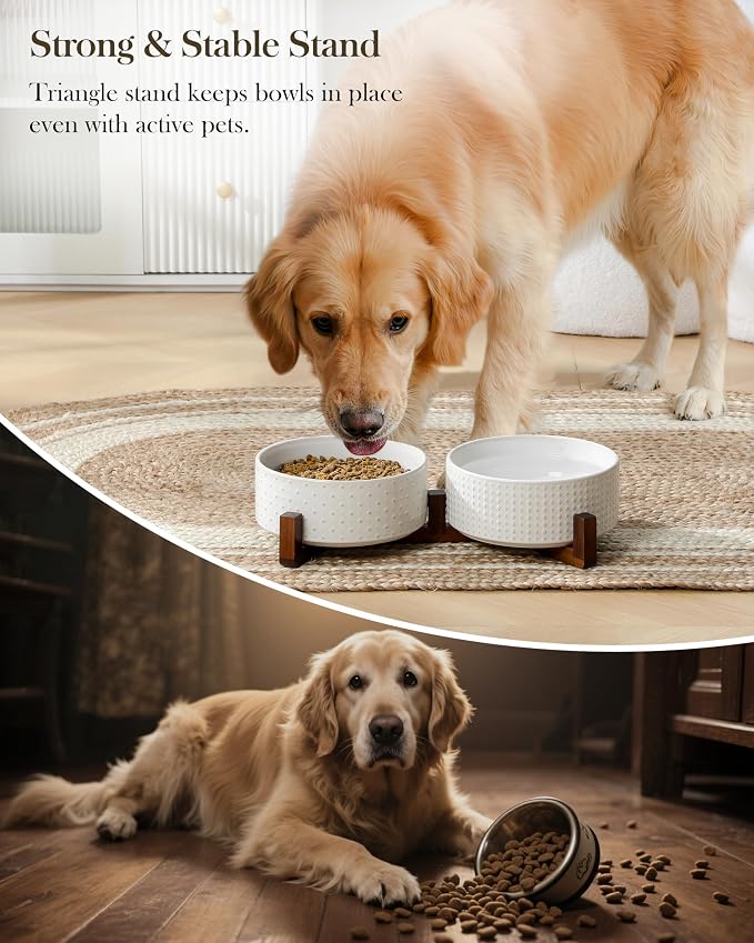 MALACASA Dog Bowl Set, Ceramic Bowls with Walnut Wood Stand, 6 Cups | Rhombic and polka dot design, non-slip base, for dogs, about 26% heavier than similar ceramic bowls