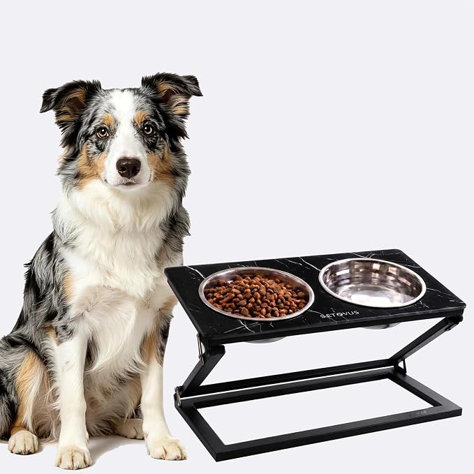 Elevated Dog Bowl, Adjustable Height and Tilt Angle Dog Bowl Stand | Precisely Adjust Height And Tilt Angle, Easy To Clean, Equipped With 2 Stainless Steel Food Bowls, Sturdy And Durable.