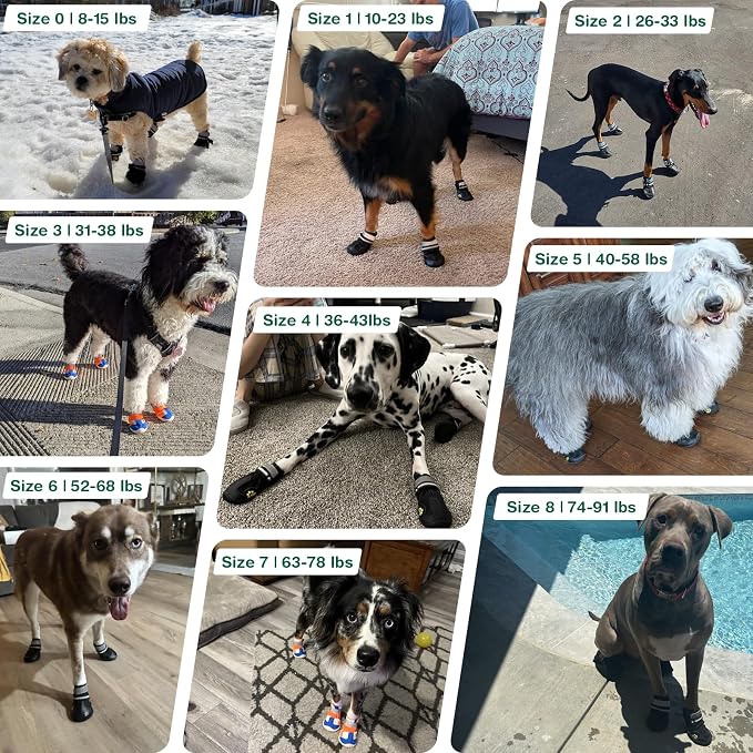 Dog Shoes for Small Dogs, Puppy Dog Boots for Winter Snow, Hot Pavement, Dog Booties & Paw Protectors Black Size 1