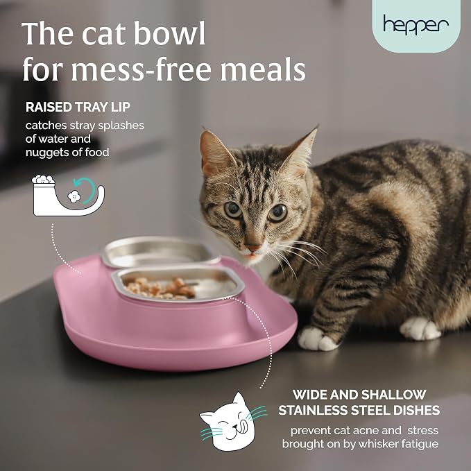 NomNom - Spill Proof Elevated Cat Bowls - Stainless Steel - Pink